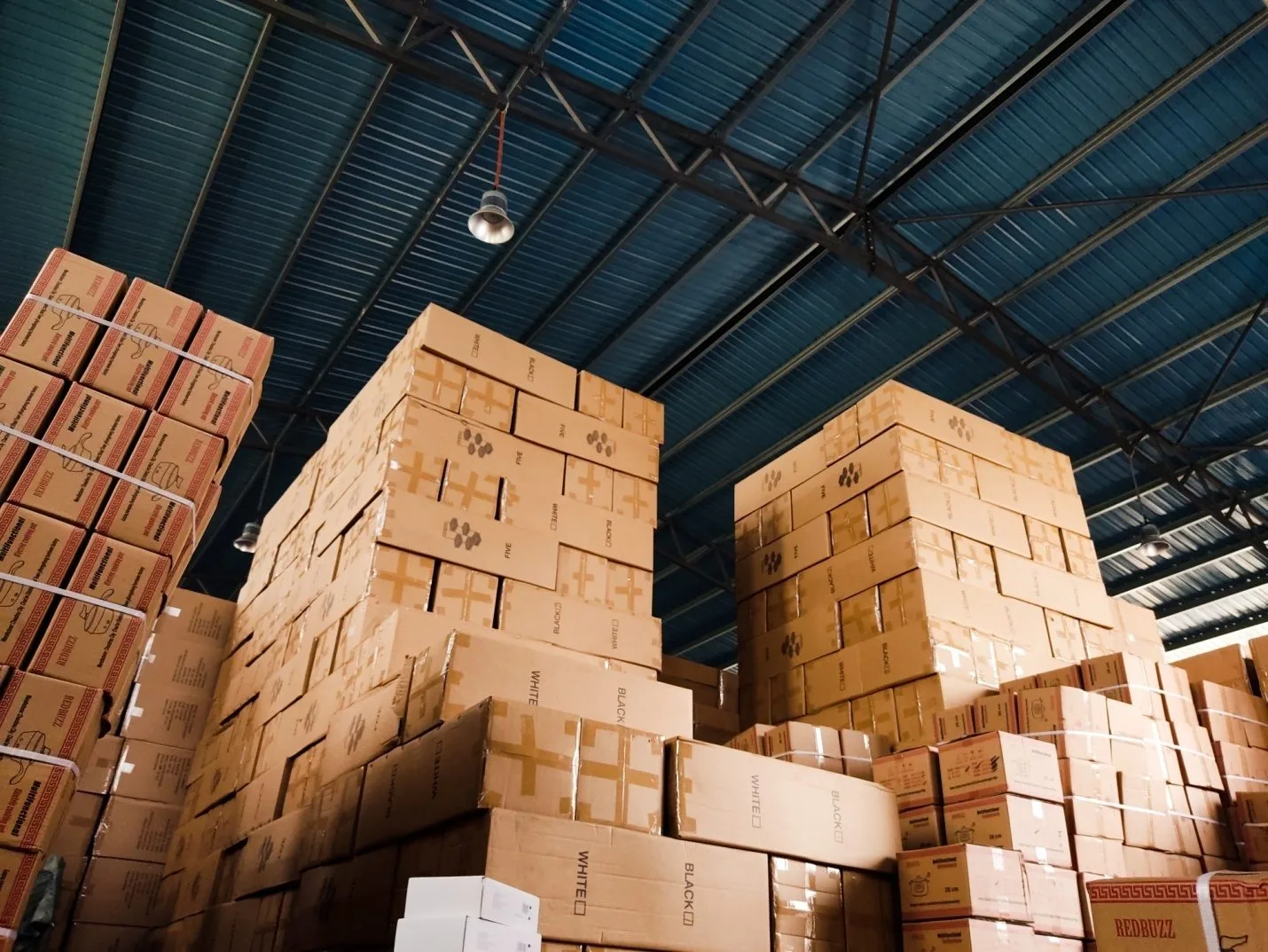 Types of Warehouses and Why You Need One